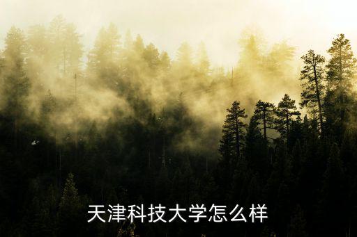 天津意美教育怎么样,天津科技大学怎么样