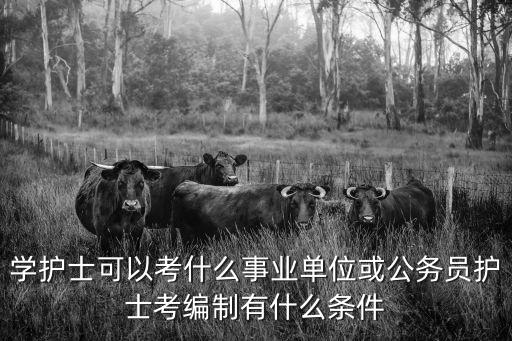 学护士可以考什么事业单位或公务员护士考编制有什么条件