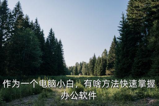 作为一个电脑小白，有啥方法快速掌握办公软件