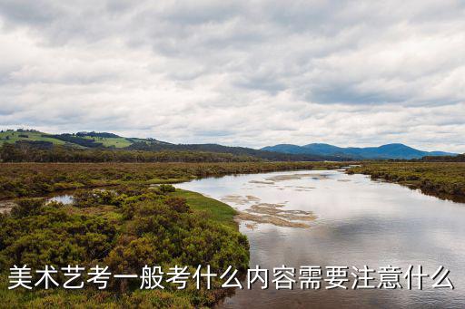 美术艺考一般考什么内容需要注意什么