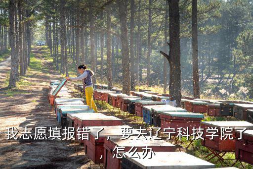 成考志愿报错了怎么办,高考报的志愿后悔了怎么办