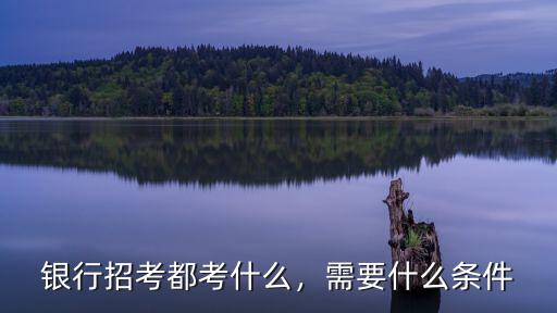 银行招考都考什么，需要什么条件