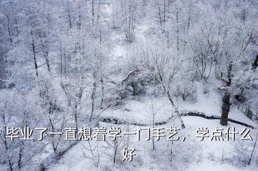 毕业以后学点什么好,初中毕业了学什么好