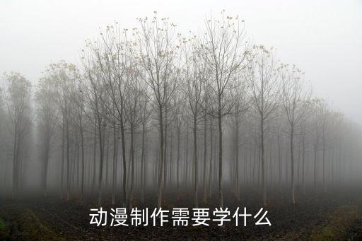 动漫制作需要学什么