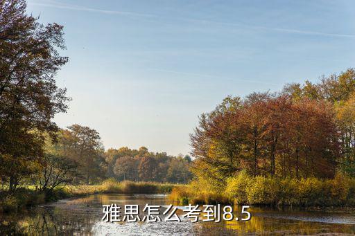 雅思怎么考到8.5