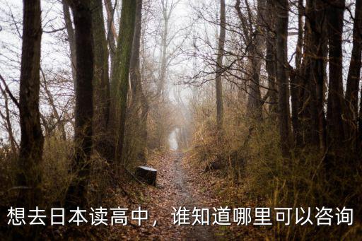 想去日本读高中，谁知道哪里可以咨询