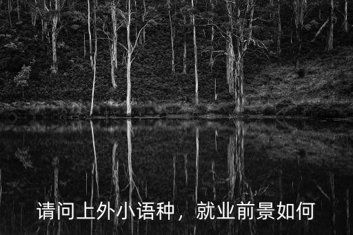 请问上外小语种，就业前景如何