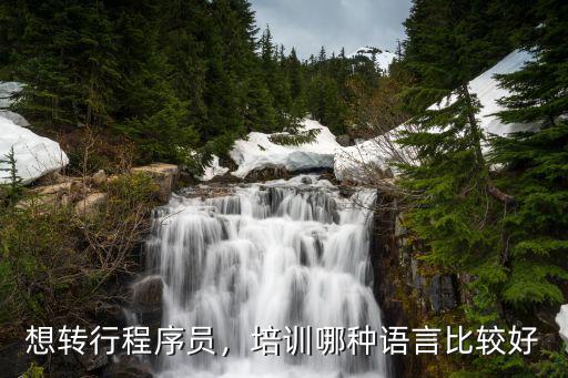 想转行程序员，培训哪种语言比较好