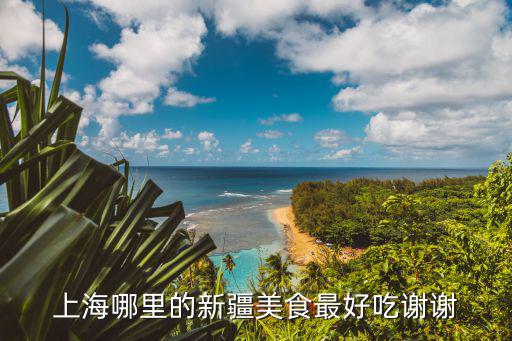 上海哪里的新疆美食最好吃谢谢