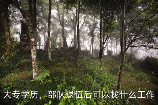 大专学历，部队退伍后可以找什么工作