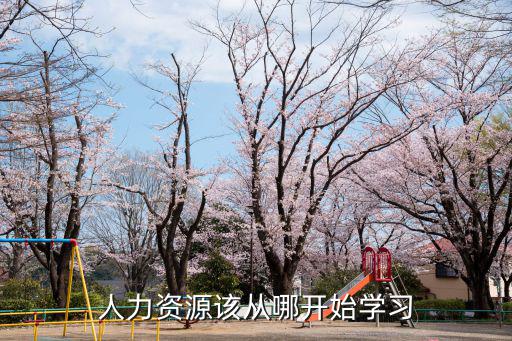 哪里可以学人力资源,现在有没有哪学习人力资源