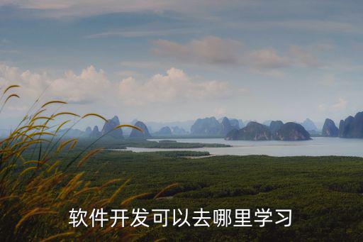 学软件工程师到哪里,软件开发可以去哪里学习