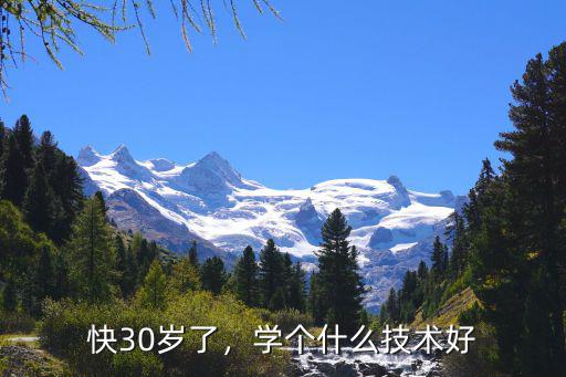 30岁了学点什么好男性,30岁男学什么技术好