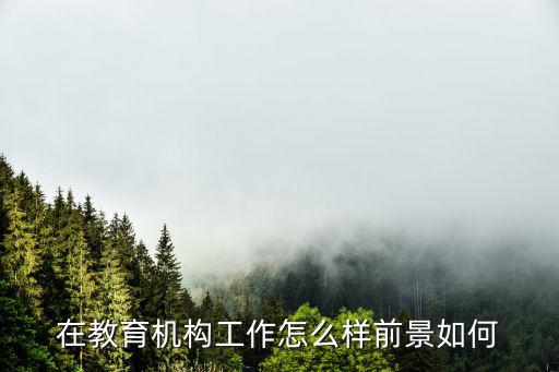 在教育机构工作怎么样前景如何