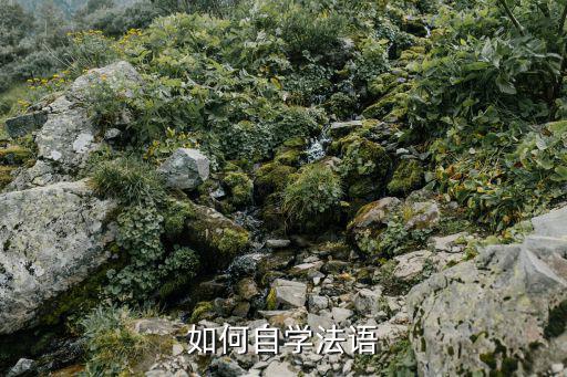 法语文科怎么学,如何自学法语