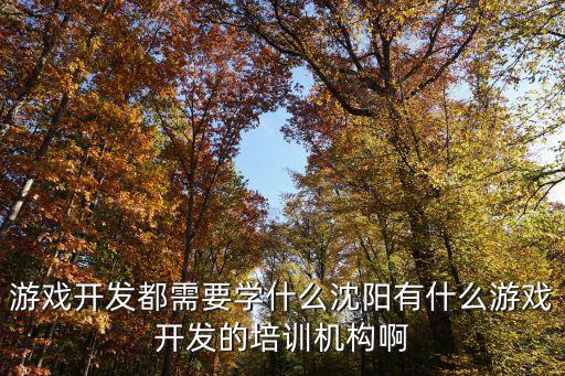 游戏开发都需要学什么沈阳有什么游戏开发的培训机构啊