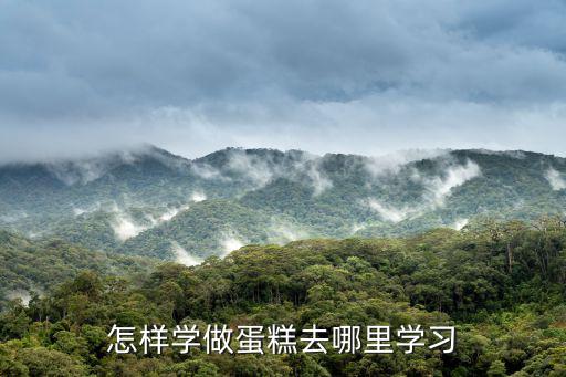 瑞安哪里有学做蛋糕,怎样学做蛋糕