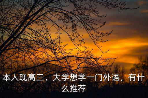 本人现高三，大学想学一门外语，有什么推荐