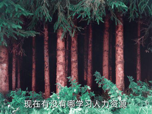 现在有没有哪学习人力资源