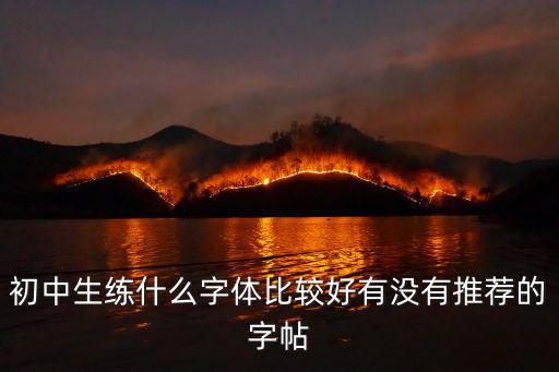 初中生练什么字体比较好有没有推荐的字帖