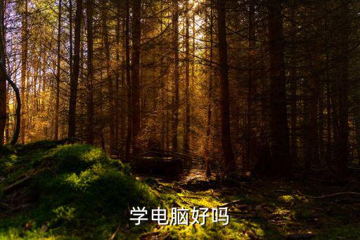 学电脑好吗