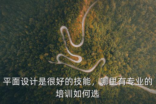 平面设计是很好的技能，哪里有专业的培训如何选