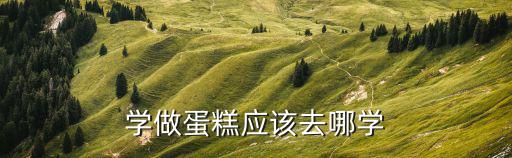天津学做蛋糕去哪里学,天津学做蛋糕去哪里学