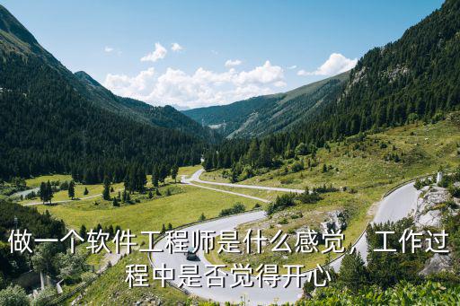 软件工程师是干什么的,做一个软件工程师是什么感觉