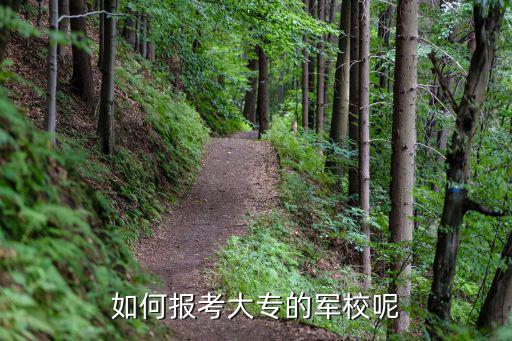 如何报考大专的军校呢