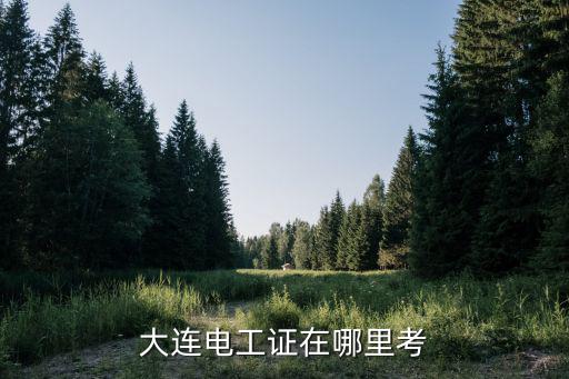 大连哪里可以学电工证,大连电工证在哪里考