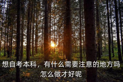 自考有没什么做题技巧,参加自考有什么好的学习方法