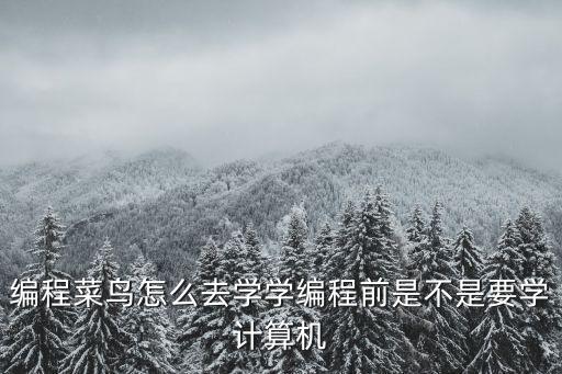 编程菜鸟怎么去学学编程前是不是要学计算机