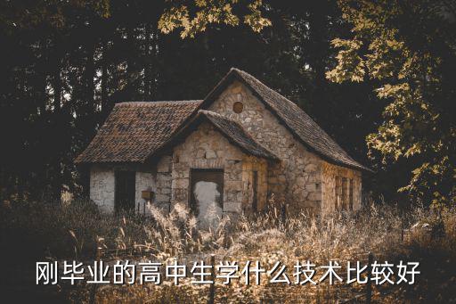刚毕业的高中生学什么技术比较好