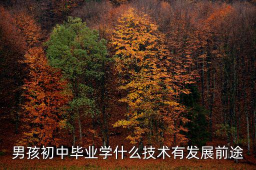 男孩初中毕业学什么技术有前途,学什么专业有前途