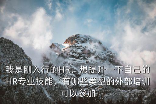 我是刚入行的HR，想提升一下自己的HR专业技能，有哪些类型的外部培训可以参加