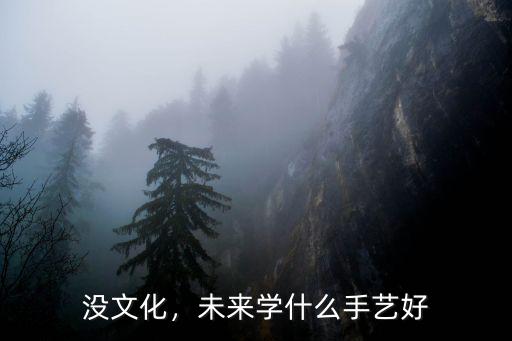 没文化，未来学什么手艺好