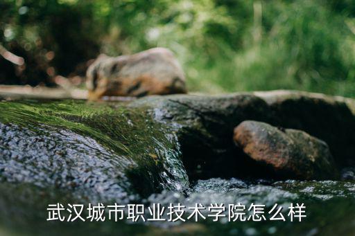 武汉城市职业技术学院怎么样