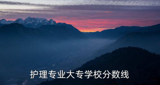 护理专业大专学校分数线