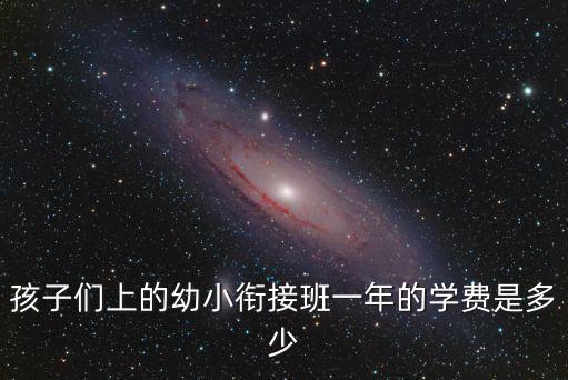 孩子们上的幼小衔接班一年的学费是多少