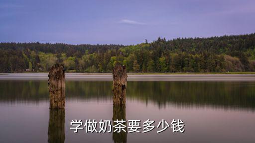 学做奶茶要多少钱