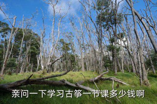 沈阳一对一学古筝多少钱，亲问一下学习古筝一节课多少钱啊