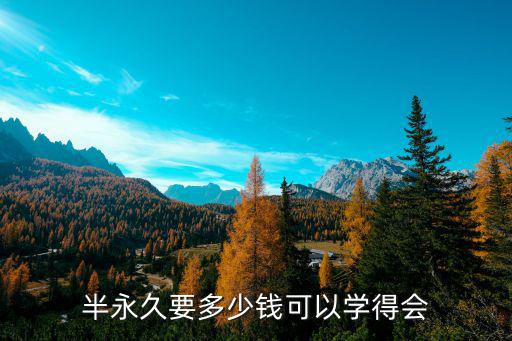 半永久要多少钱可以学得会