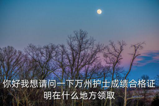 你好我想请问一下万州护士成绩合格证明在什么地方领取