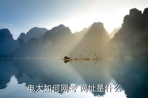 电大如何网考 网址是什么