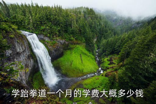 临沂学跆拳道要多少钱一个月多少钱一个月，学跆拳道一月多少钱