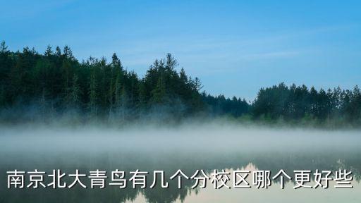 南京北大青鸟有几个分校区哪个更好些