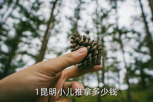 1昆明小儿推拿多少钱