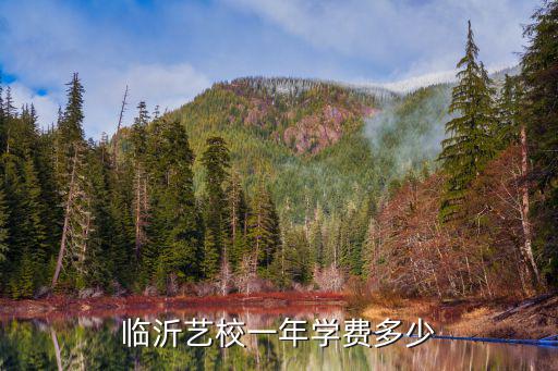 临沂艺校一年学费多少