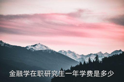 金融学在职研究生一年学费是多少