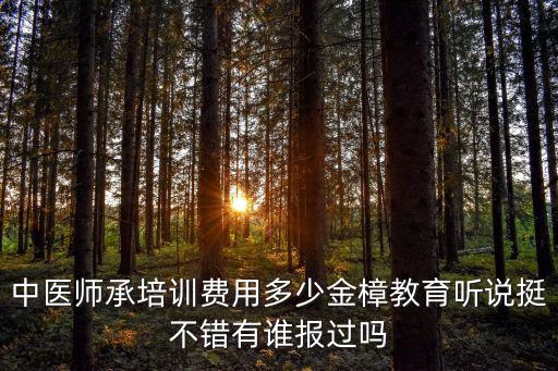 西安 中医师承多少钱，中域中医师承学费多少